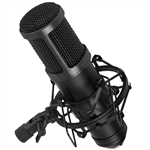 ECM-140 Professionel kondensator mikrofon for studie og home recording